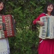 Wiesia Dudkowiak Accordion Melody