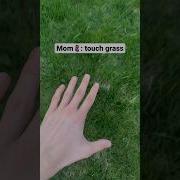 Zzeff Xd Meme Touch Grass