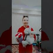 У Кого Цветы У Меня Кто Подарил Ты