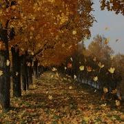 Музыка Миновало Лето Осень Наступило