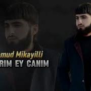 Mahmud Mikayilli 2024