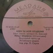Минусовки Ивицы Шерфези