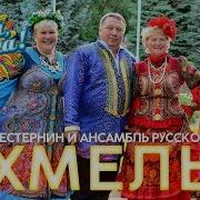Юрий Шетеренин Ансамбль Хмель Лучшие Песни