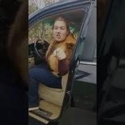 На Лексусе Где Хочу Там Паркуюсь
