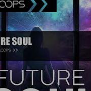 Funcition Loops Future Soul Sample Pack Free Download