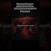 Я Выебал Хлкб