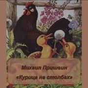 Пришвин Курица На Столбах