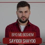 Shaydo Shaydo