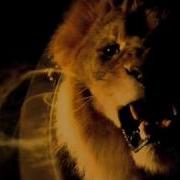 Metro Goldwyn Mayer Uk