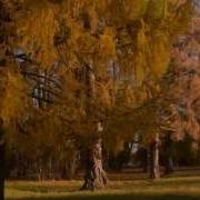 Русская Красота Футаж