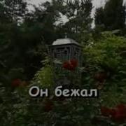 Karaoke Лесной Олень Караоке Mp4