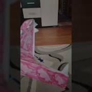 Нам Нужно Есть Больше Грибов Меме