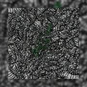 Snippet Альбома Моя Милая Пустота By Pyrokinesis