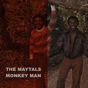 Toots And The Maytals Monkey