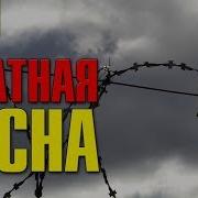 Сборник Весенних Песен