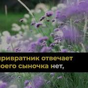 Мать Старушка Караоке