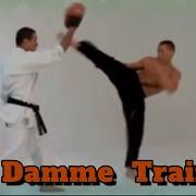 Shape Van Damme