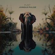 Ofri Flint Jungle Pulse