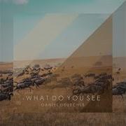 What Do You See Daniel Deuschle