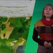Елена Крапивная