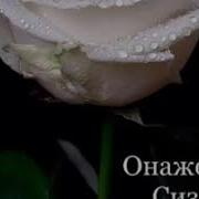 Мусофир Согинчи Ватанимни Жуда Согиндим