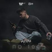 Фогель По 100