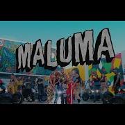 Maluma Hp