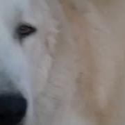 У Нас Режим Обожремся И Лежим