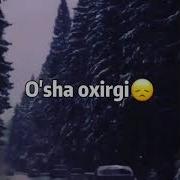 Мен Сени Севаман Шер Men Seni Sevaman Zor Sherlar