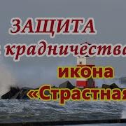 Защита От Крадничества Игорь Попович