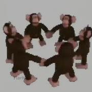 Happy Monkey Circle