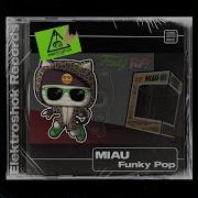 Miau Gotta Pop