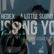 Hedex A Little Sound Missing You