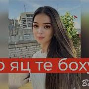 Суьйренца Ара Со Волуш Гур Яц Те Сайна Хьо Бохуш
