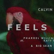 The Feels Speed Up