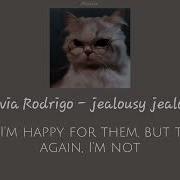 Olivia Rodrigo Speed Up Jealousy