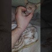 Мой Малыш Растёт Не По Годам