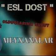 Esl Dost Meyxanasi Vuqar Bilecerli