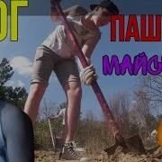 У Ивана Кузина Большая Кукурузина Красная Плесень
