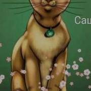 Коты Воители Звездоцап И Саша
