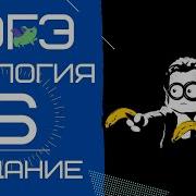 Огэ Биология 2020 Задание 6 Рохлов