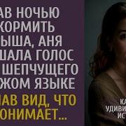 Удивительные Истории