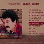 Zalimsin Yar