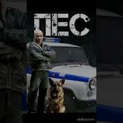 Сериал Пес Тема Убийство