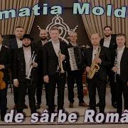 Formatia Moldova Live Muzica