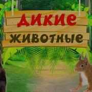Песенка Про Диких Зверей Для Дщетей