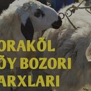 Qorakõl Qõy Bozori Narxlari