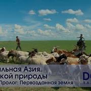 Дикая Природа Азии