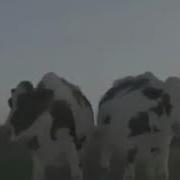 Мем Ммм Корова
