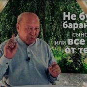 Не Будь Бараном Сынок Или Всё Зависит От Тебя